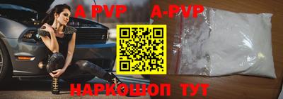 стаф Кингисепп